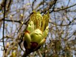 DSCF2079.jpg