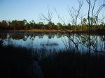DSCF8161.jpg