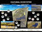 Cultural Ecosystem: Retexturing Temecula