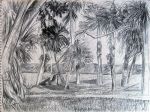 Palm_Landscape.jpg