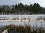 DSCF5995.jpg