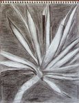Plant_Detail.jpg