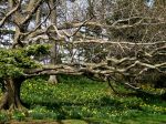 DSCF2073.jpg
